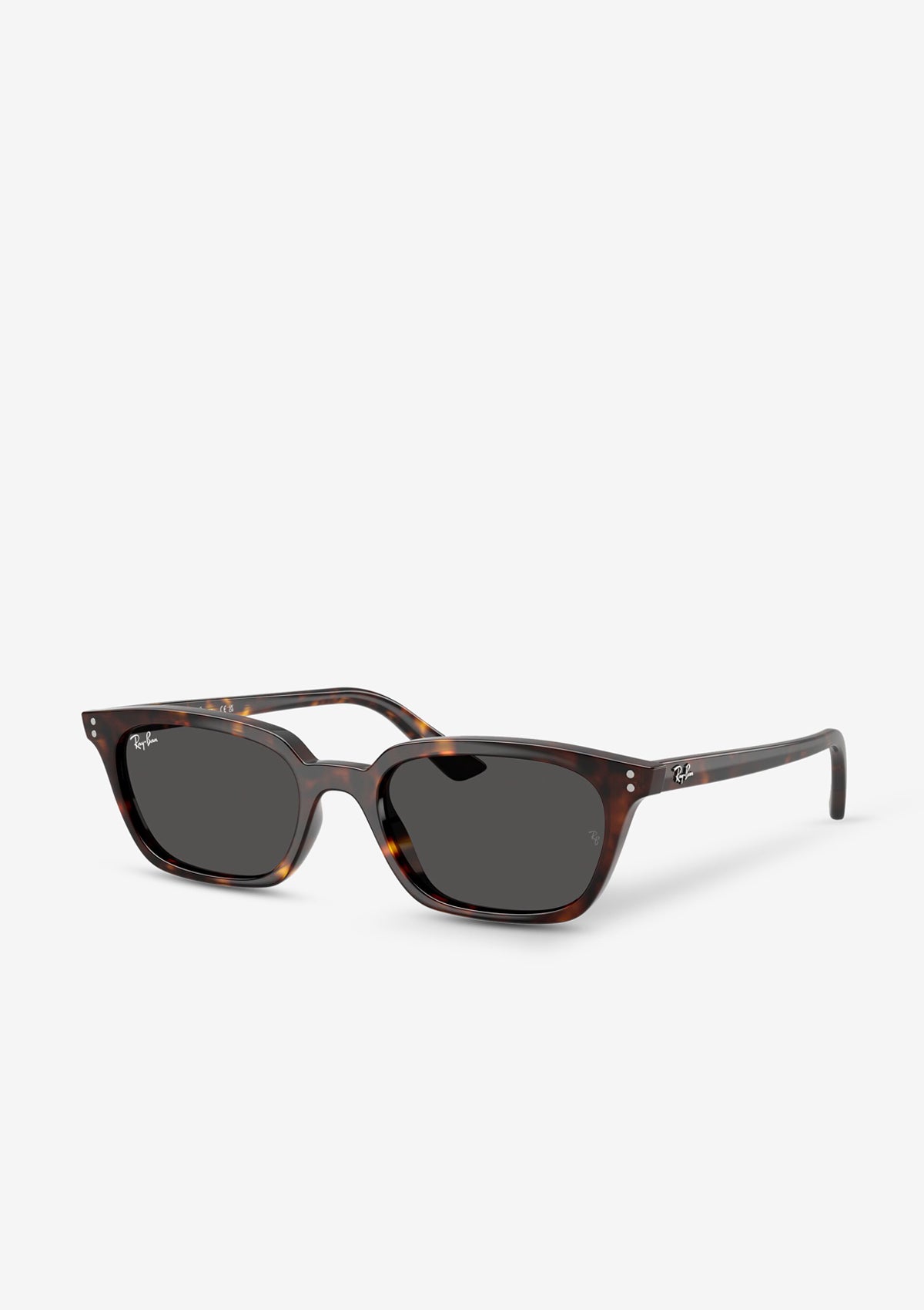 RB4456 ZAYA Sonnenbrille