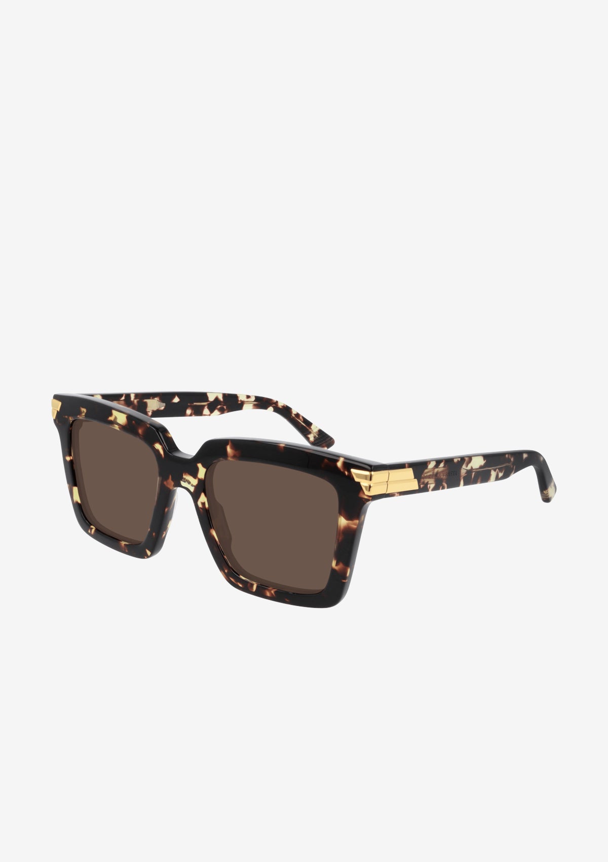 BV1005S sunglasses