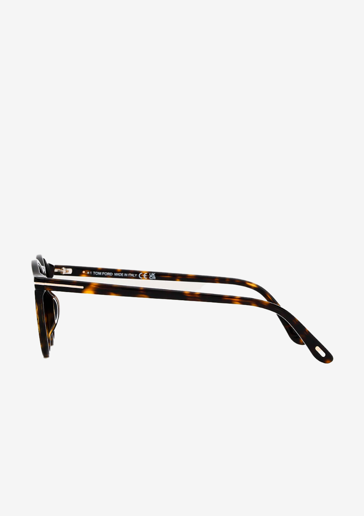 TF0904 Sunglasses