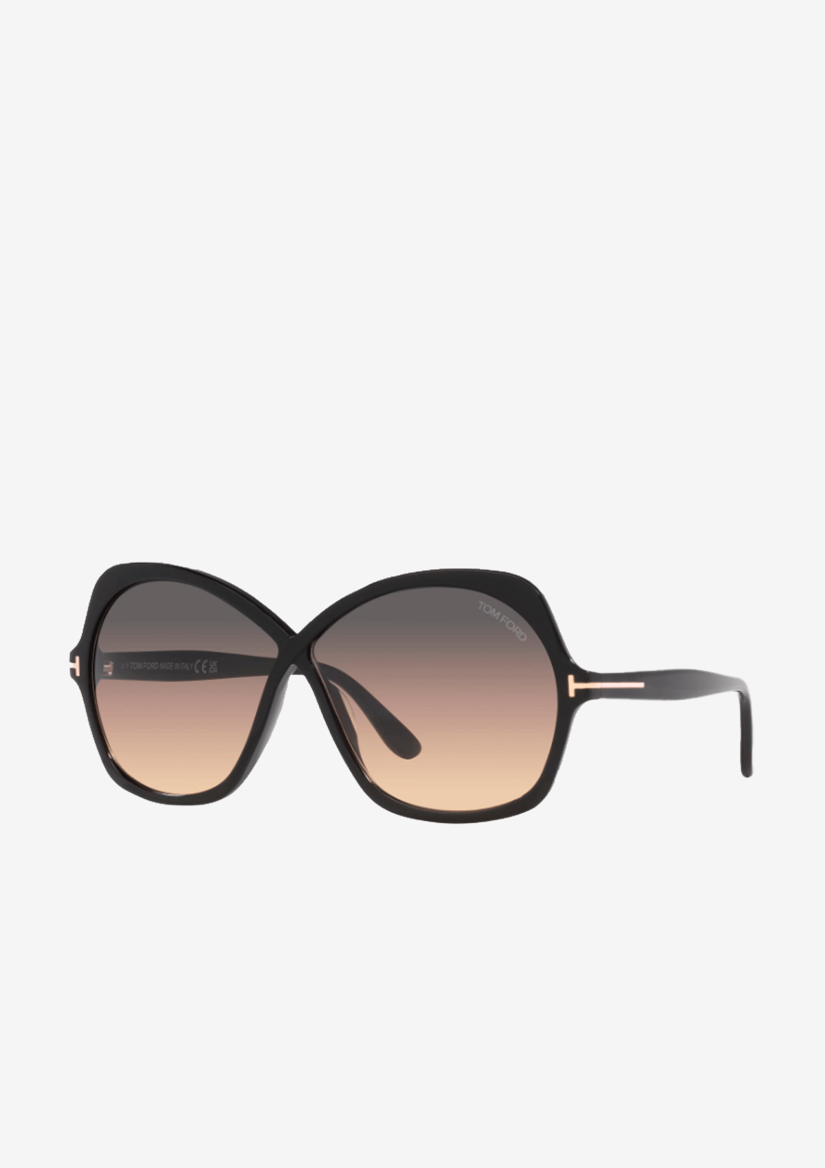 TF1013 Sunglasses