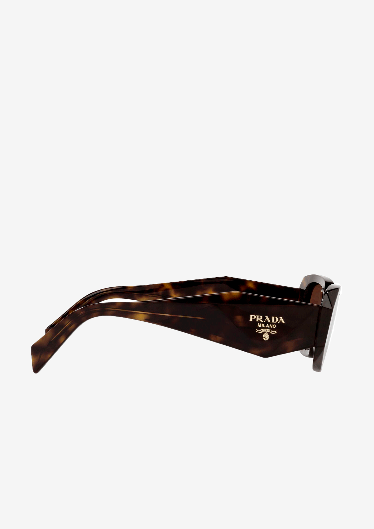 SPR 17W sunglasses