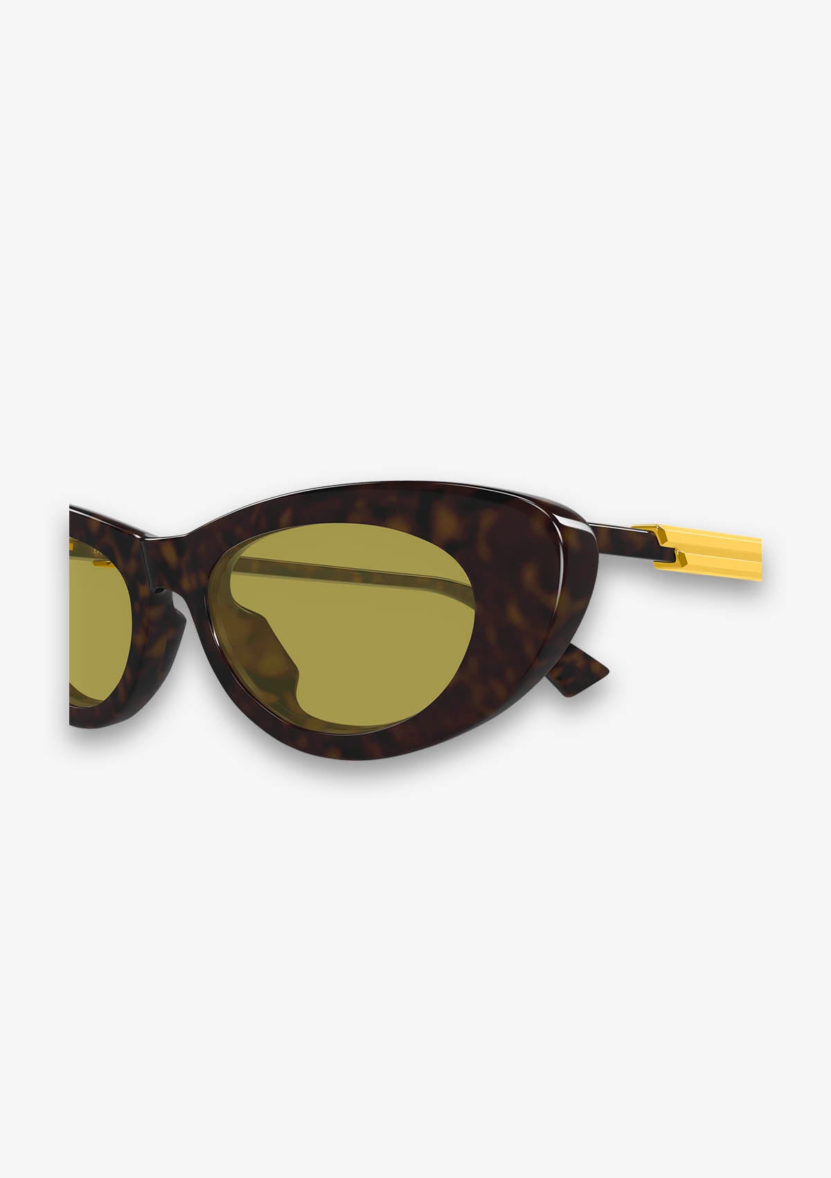 Lunette de soleil Bottega Veneta BV1447S Havane
