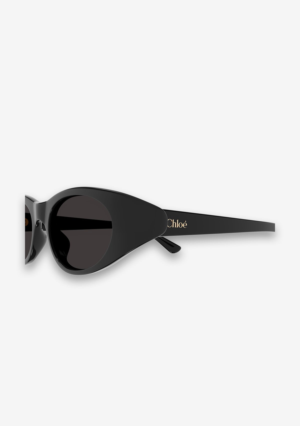 Lunette de soleil Chloé CH0279S Noir