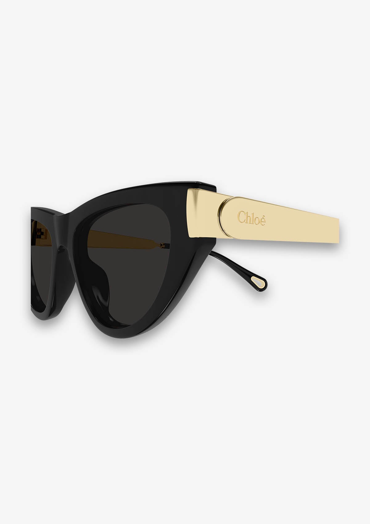 Lunette de soleil Chloé CH0350S Noir