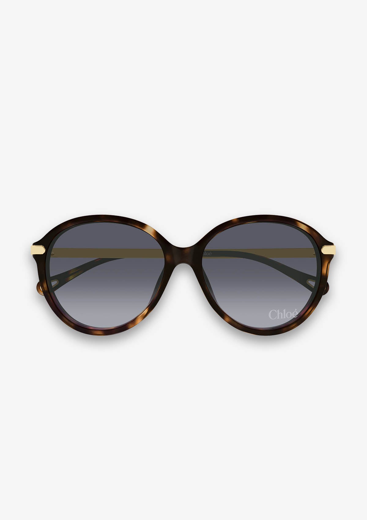 Lunette de soleil Chloé CH0358SK Havane