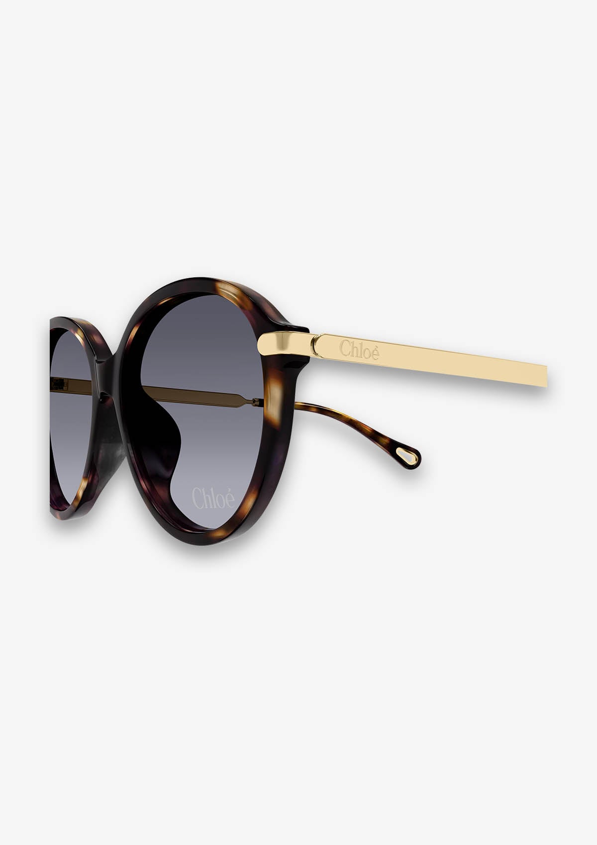 Lunette de soleil Chloé CH0358SK Havane