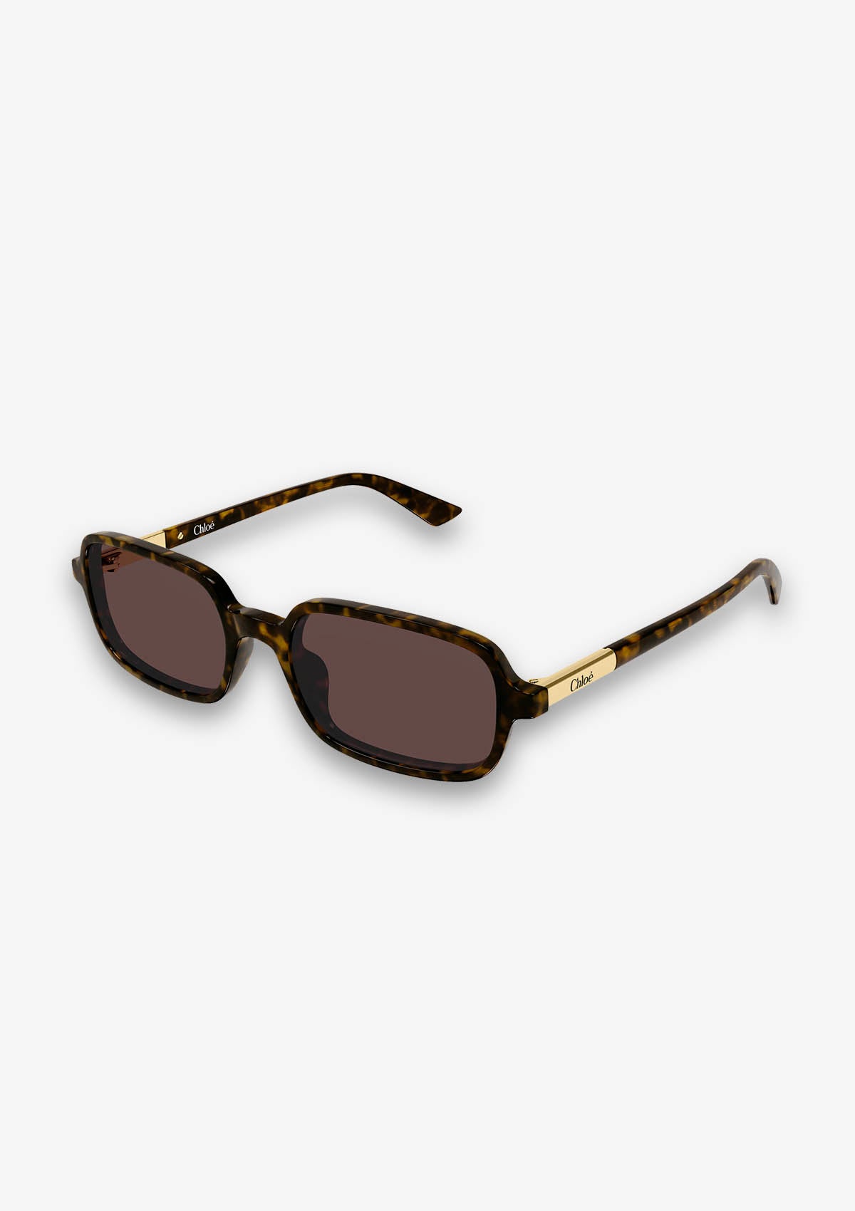 Lunette de soleil Chloé CH0363S Havane