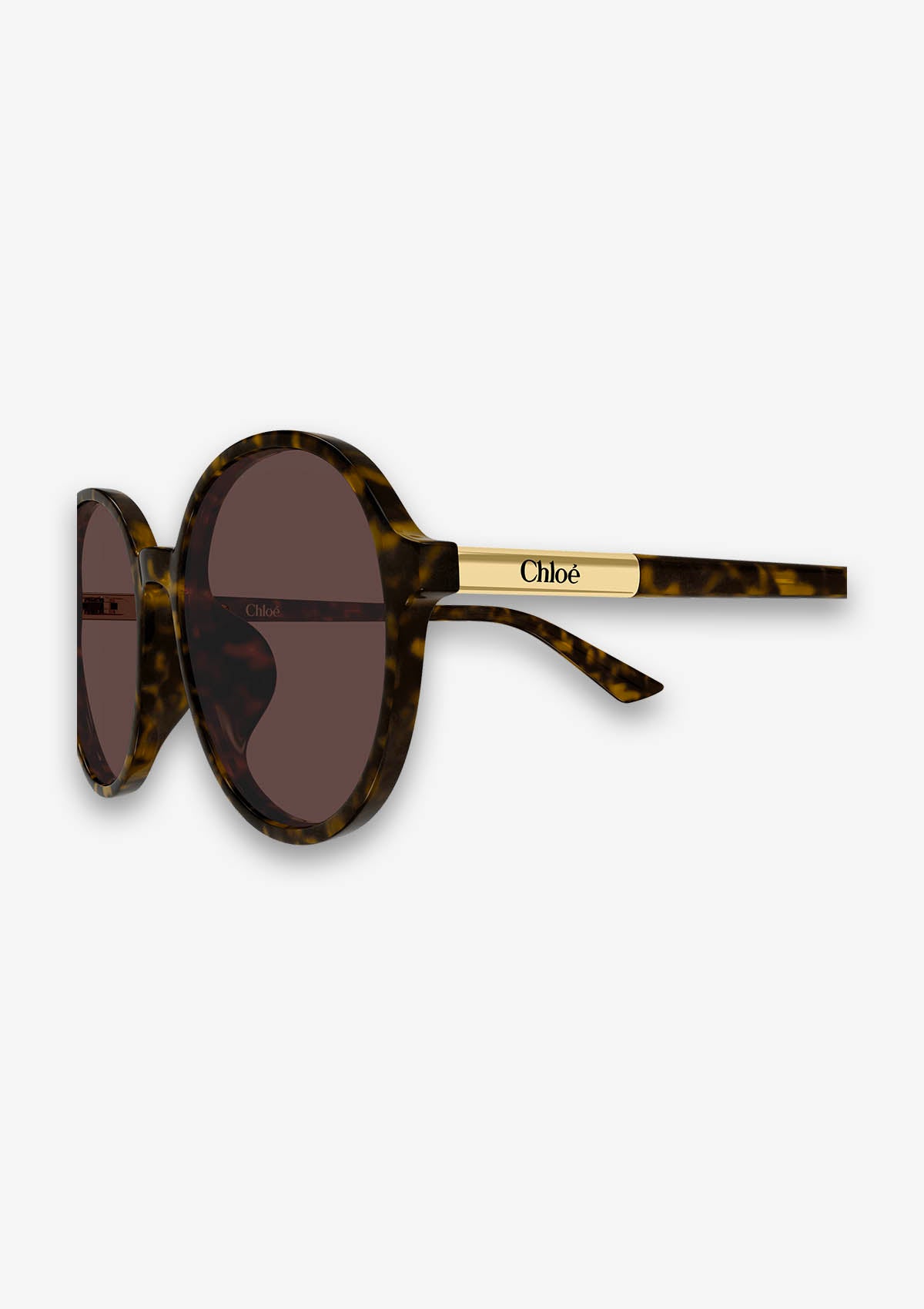 Lunette de soleil Chloé CH0365SK Havane