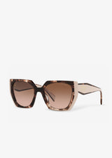 Écaille de tortue Caramel/Poudré