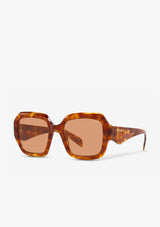 Marron écaille claire