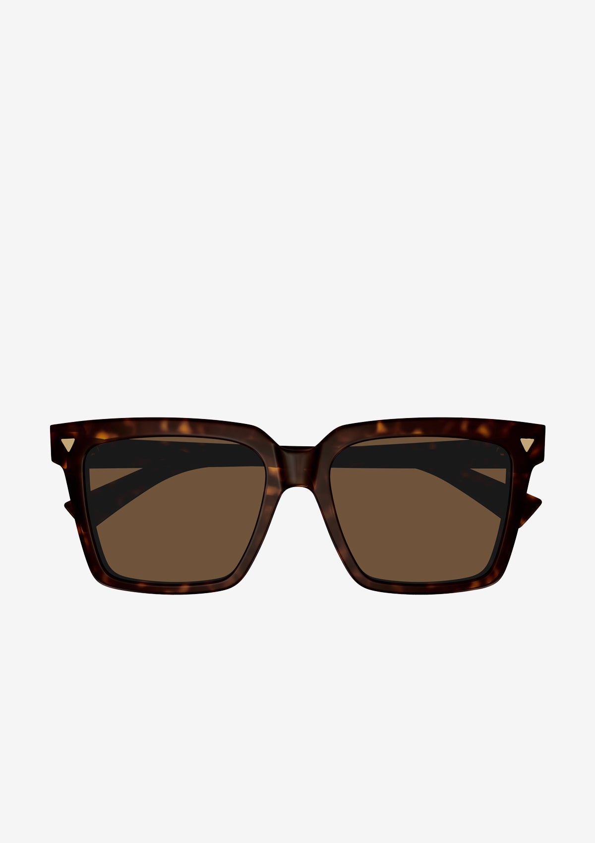 BV1254S Sunglasses