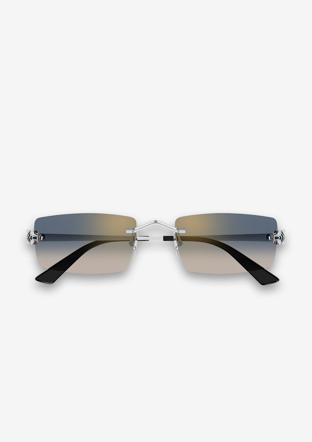 Lunette de soleil Cartier CT0598S Argent