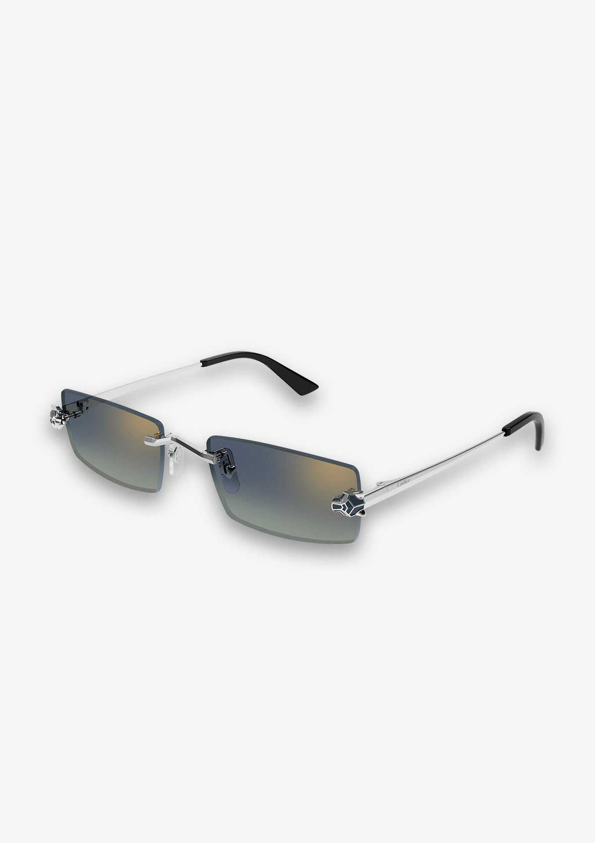 Lunette de soleil Cartier CT0598S Argent