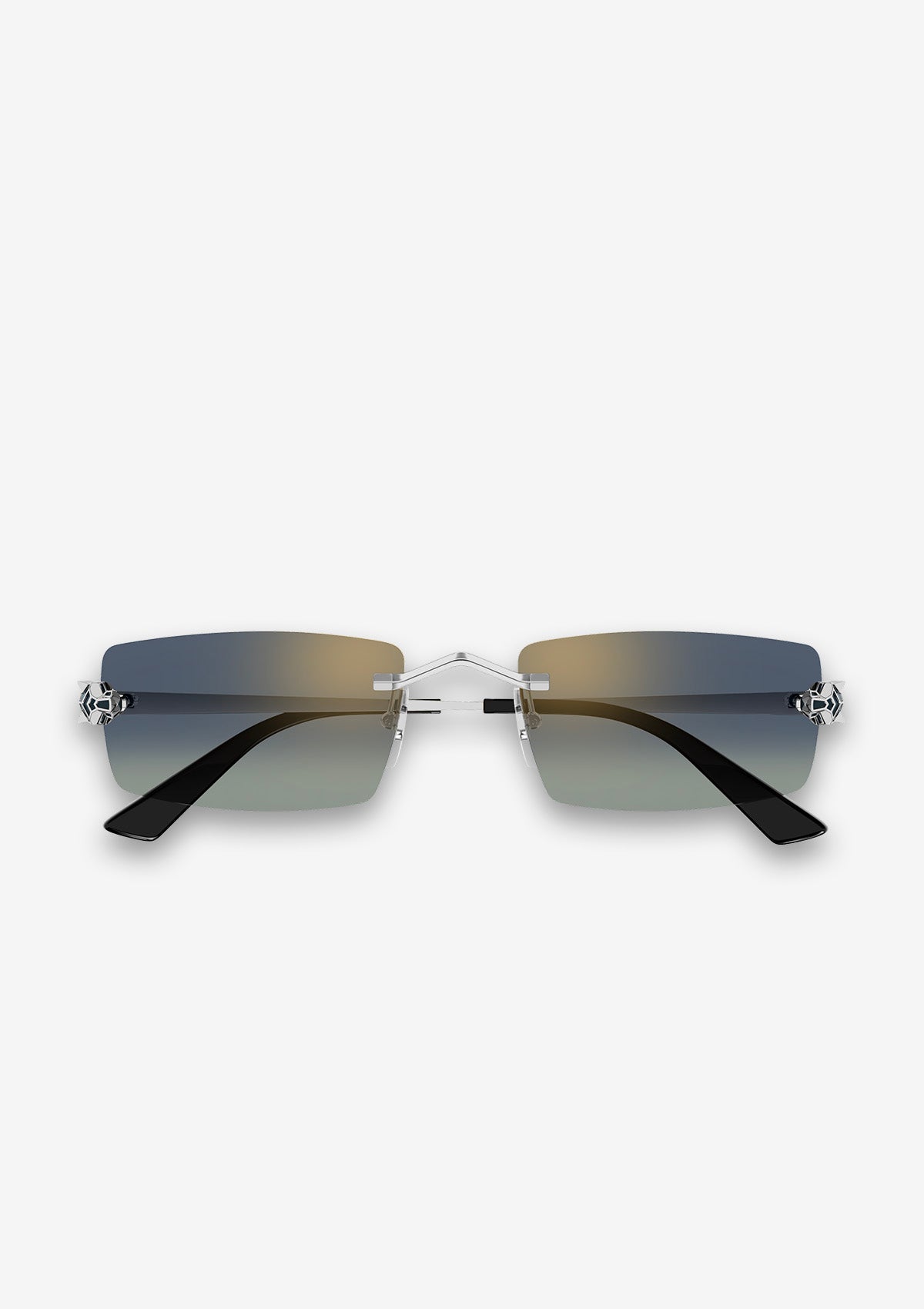 Lunette de soleil Cartier CT0598S Argent