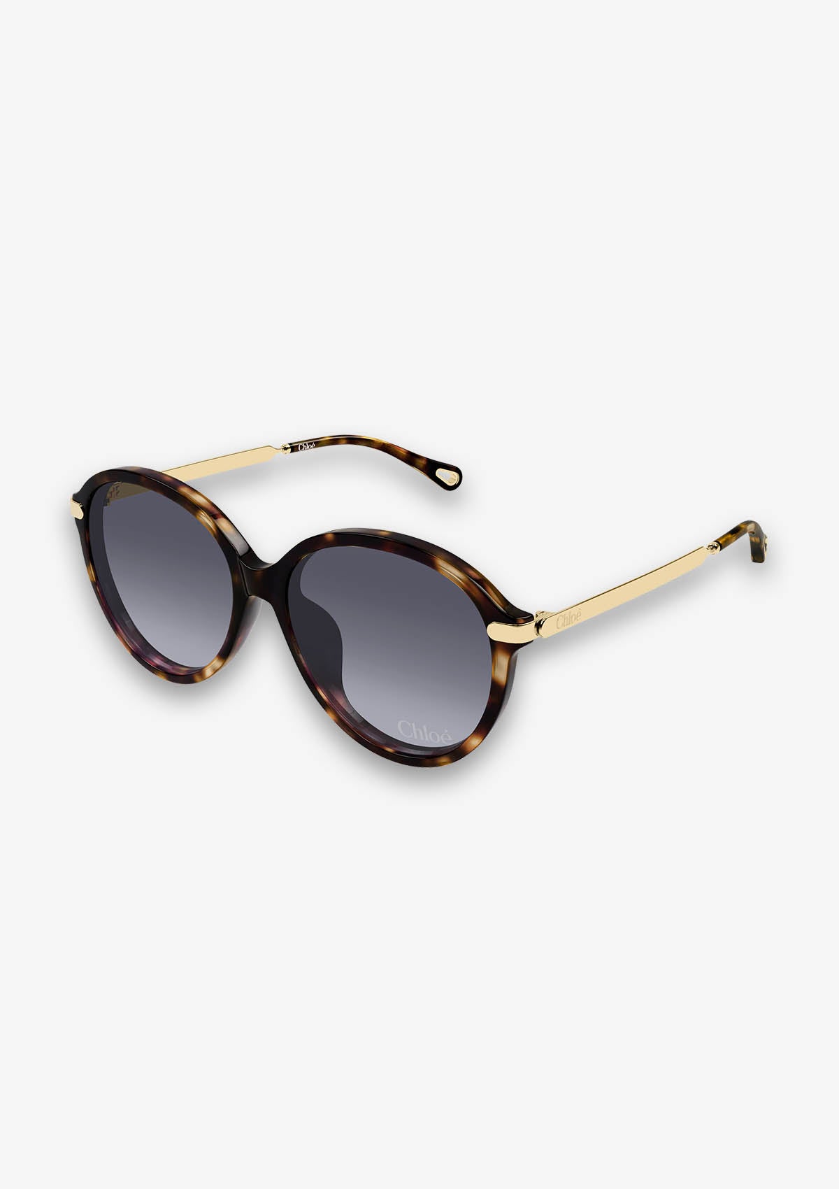 Lunette de soleil Chloé CH0358SK Havane
