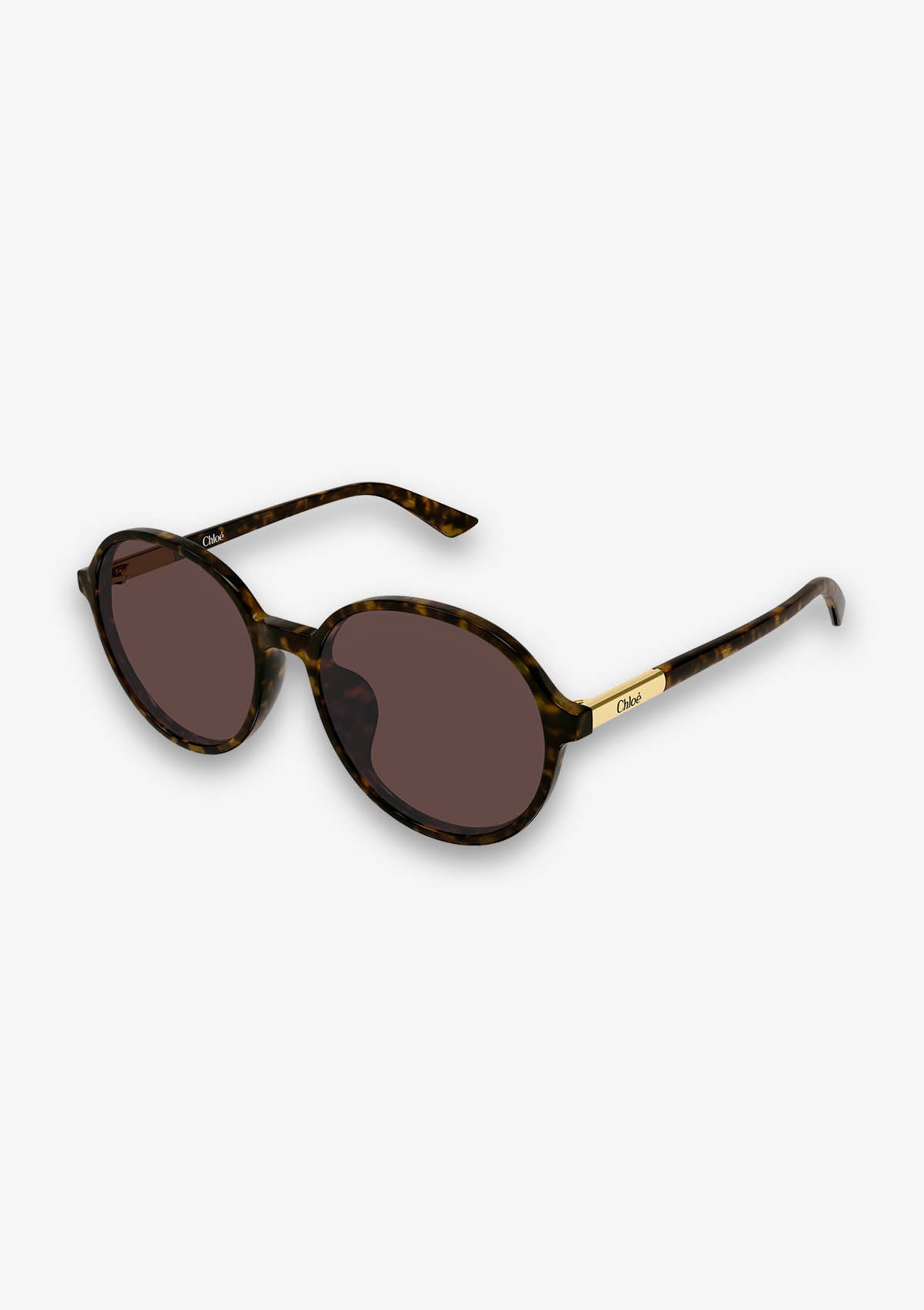 Lunette de soleil Chloé CH0365SK Havane