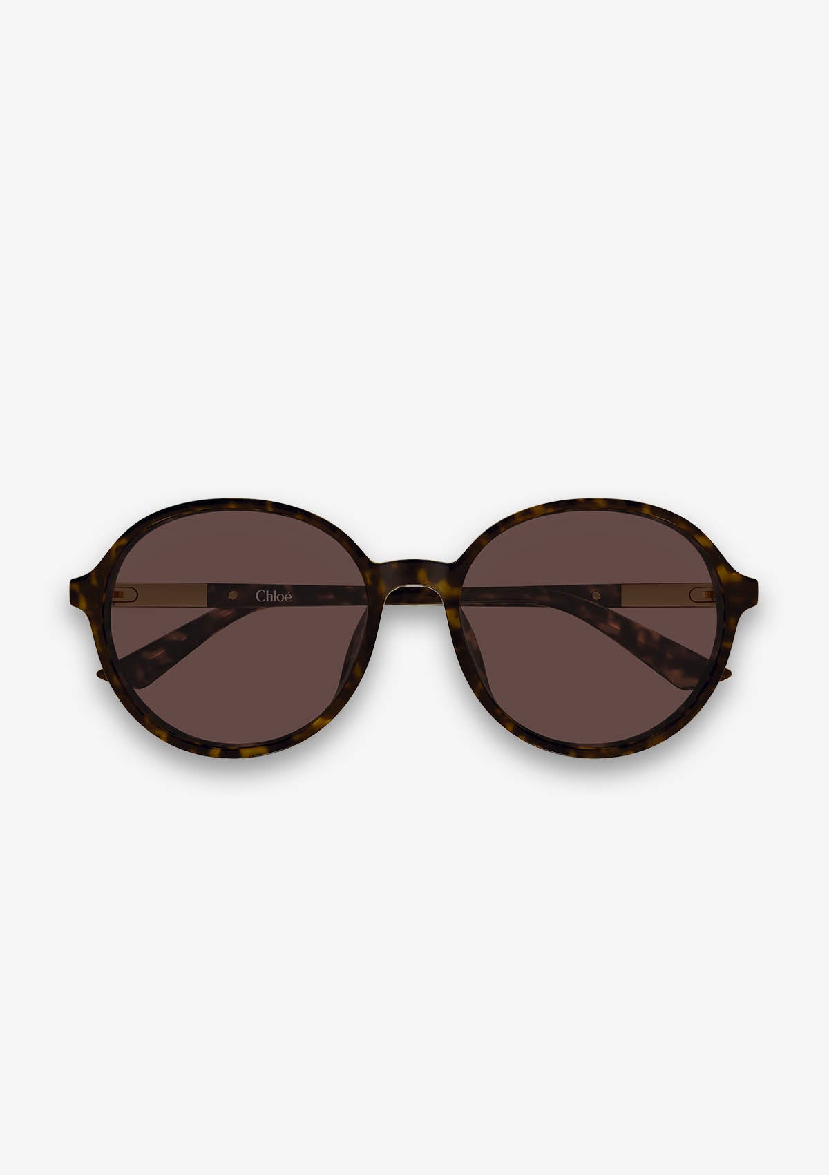 Lunette de soleil Chloé CH0365SK Havane