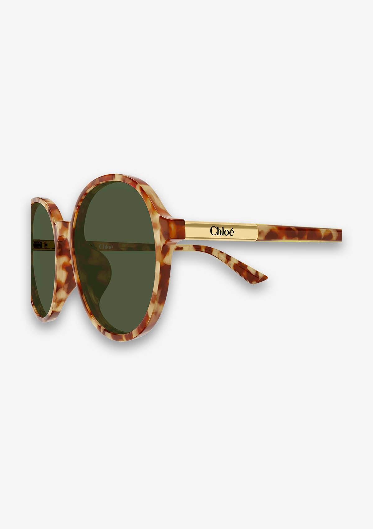 Lunette de soleil Chloé CH0365SK Havane