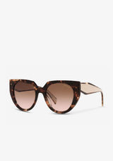Écaille de tortue Caramel/Poudre