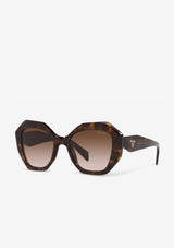 Marron écaille